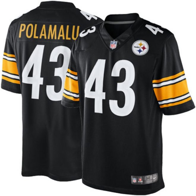 Troy Polamalu Pittsburgh Steelers Nike Youth Limited Jersey - Black
